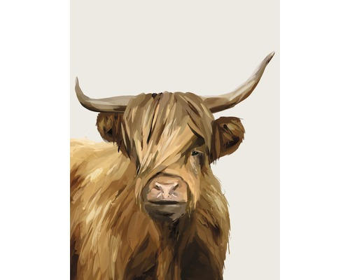 Kunstdruck Highland Cow 80x120 cm