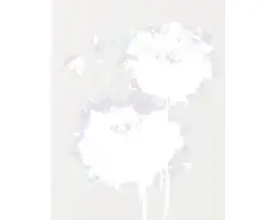 Kunstdruck Viola Haze II 60x80 cm