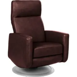 Relaxsessel in Leder Braun