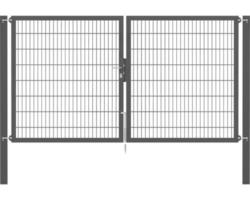 Stabgitter-Doppeltor ALBERTS Flexo Plus 8/6/8 300 x 160 cm inkl. Pfosten 10 x 10 cm anthrazit