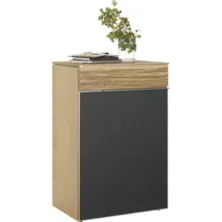 Schuhschrank 64/98/42,5 cm