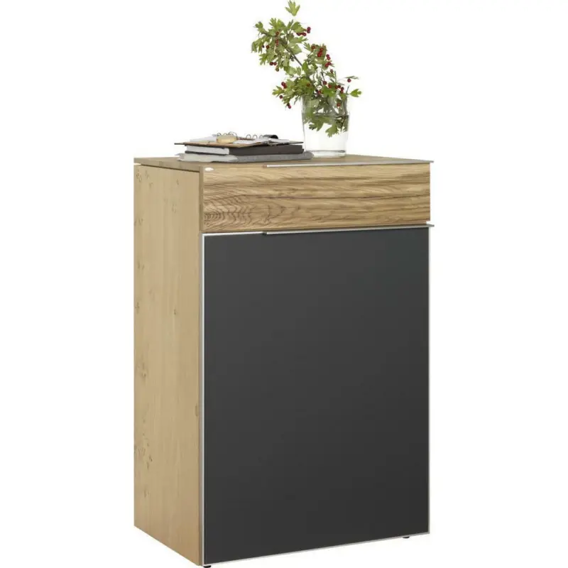 Schuhschrank 64/98/42,5 cm