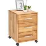 XXXLutz Lauterach - Ihr Möbelhaus bei Bregenz Rollcontainer 40/56,7/42 cm