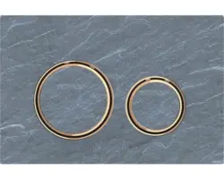 Betätigungsplatte Geberit Sigma 21 2-Mengentechnik mustang Schiefer/rotgold