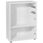 XXXLutz Lauterach - Ihr Möbelhaus bei Bregenz Aktenregal 81,8/110,5/40 cm
