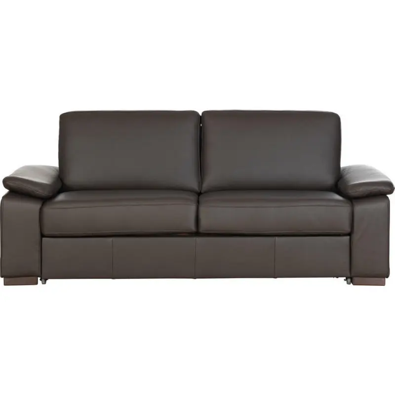 Schlafsofa in Echtleder Dunkelbraun