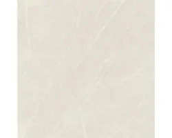 Feinsteinzeug Bodenfliese Always 120,0x120,0 cm beige matt rektifiziert