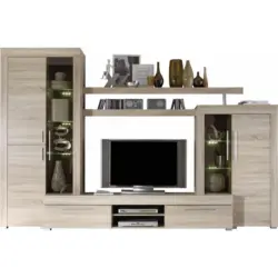 Wohnwand 308/212/50 cm in Eichefarben