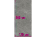 Hornbach Feinsteinzeug Bodenfliese Always 120,0x260,0 cm grau matt rektifiziert