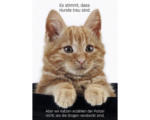 Hornbach Postkarte Hunde und Katzen 10,5x14,8 cm