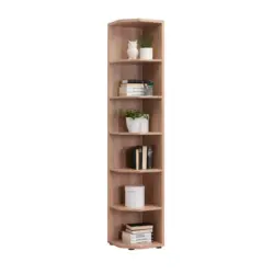 Eckregal in 40/215,2/40 cm