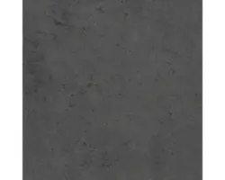 Duschrückwand Schulte ExpressPlus Decodesign 1000x2550x3 mm Dekor Stein anthrazit