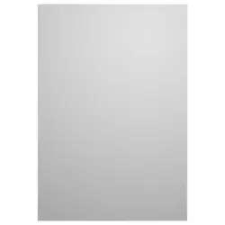 Wandspiegel 56/81/3 cm