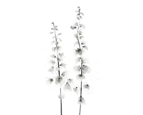 Kunstdruck Without you 80x120 cm