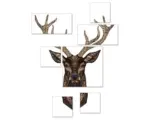 Hornbach Leinwandbild Hirsch 7er-Set 110x88 cm