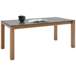 Esstisch in Holz, Kunststoff 200-300/100/75 cm
