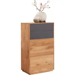 Schuhschrank 60/105/38 cm