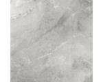 Hornbach Feinsteinzeug Bodenfliese Pulpis grey 60,0x60,0 cm grau glänzend rektifiziert