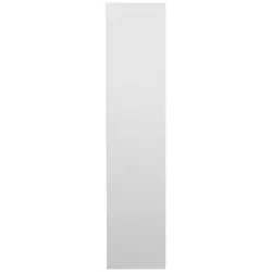 Wandspiegel 39/173/2 cm