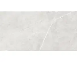 Feinsteinzeug Bodenfliese Ciana 120,0x240,0 cm hellgrau glänzend rektifiziert