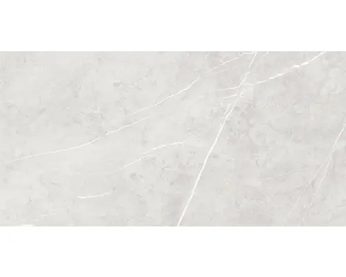 Feinsteinzeug Bodenfliese Ciana 120,0x240,0 cm hellgrau glänzend rektifiziert