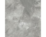 Hornbach Feinsteinzeug Bodenfliese Pulpis grey 120,0x120,0 cm grau glänzend rektifiziert