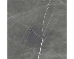 Feinsteinzeug Bodenfliese Ciana 60,0x60,0 cm grau glänzend rektifiziert