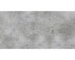 Hornbach Feinsteinzeug Bodenfliese Luna 120,0x240,0 cm grau seidenmatt rektifiziert