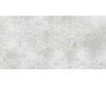 Hornbach Feinsteinzeug Bodenfliese Luna 120,0x240,0 cm weiß seidenmatt rektifiziert