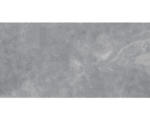 Hornbach Feinsteinzeug Bodenfliese Geo 120,0x240,0 cm grau seidenmatt rektifiziert