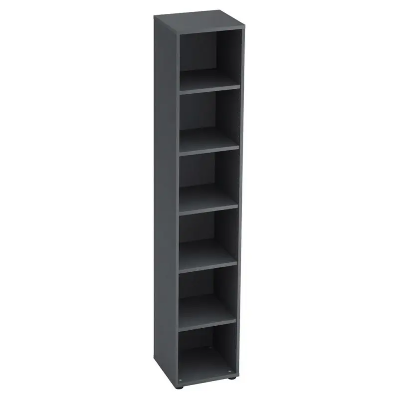 Regal 40/215,6/40 cm Graphitfarben