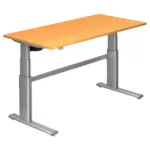 XXXLutz Lauterach - Ihr Möbelhaus bei Bregenz Schreibtisch 160/80/66-130 cm in Silberfarben, Buchefarben