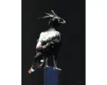 Hornbach Kunstdruck Eagle 50x70 cm