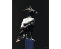 Kunstdruck Eagle 40x50 cm