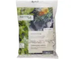Hornbach Hornspäne Manna Bio 1 kg / 12 m²
