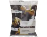 Hornbach Hornmehl Manna Bio 1 kg / 12 m²