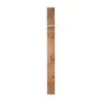 XXXLutz Lauterach - Ihr Möbelhaus bei Bregenz Garderobenpaneel 16/180/2 cm