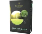 Hornbach Rasensamen Loretta Trockenrasen 1,1 kg / 35 m²