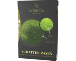 Rasensamen Loretta Schattenrasen 0,6 kg / 33 m²