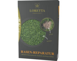 Rasensamen Loretta Reparatur 1,1 kg / 70 m²