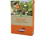 Hornbach Blumenwiesensamen aus Österreich Greenfield Blumenwiese mit Gräsern 0,5 kg / 50 m²