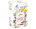 Hornbach Wildblumenwiese aus Österreich ReNatura Schmetterlingswiese 20 m²