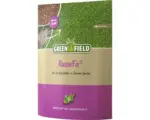 Hornbach Rasensamen Greenfield Rasenfix 1,5 kg / 10 m²