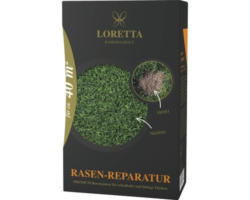 Rasensamen Loretta Reparatur 0,6 kg / 40 m²