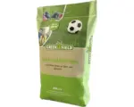 Hornbach Rasensamen Greenfield Sport- & Spielrasen 10 kg / 500 m²