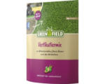 Hornbach Rasensamen Greenfield Vertikutiermix 2,5 kg / 120 m²