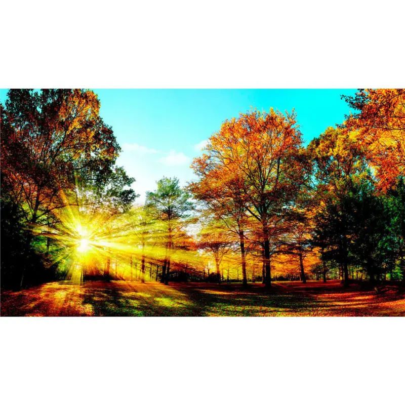 Acrylglasbild 100/180/1,70 cm