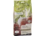 Hornbach Garten- & Gemüsedünger Manna Bio 1 kg / 10 m²