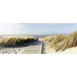 Glasbild 50/125/1,40 cm