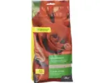 Hornbach Rosendünger Manna 2 kg / 20 m²